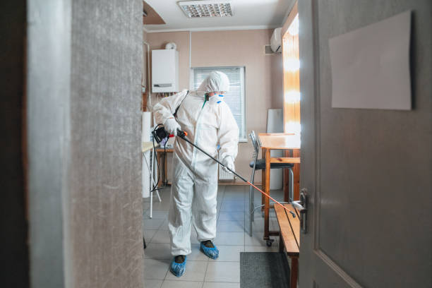 Best Comprehensive Air Testing for Mold Contaminants  in Eustace, TX