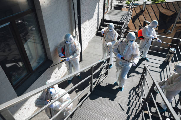 Best Mold Removal for HVAC Installations  in Eustace, TX