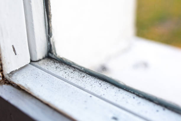 Mold Removal for HVAC Installations in Eustace, TX