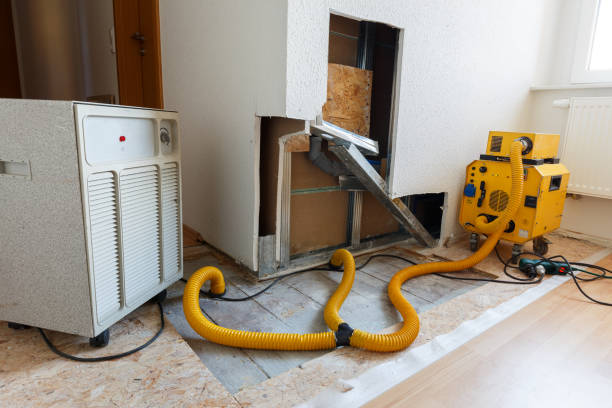 Best Air Quality Testing for Mold Spores  in Eustace, TX