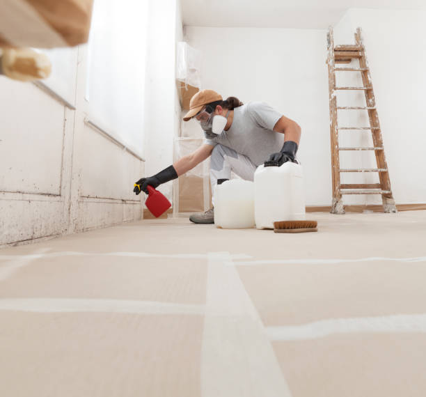 Best Post-Remediation Verification Testing  in Eustace, TX